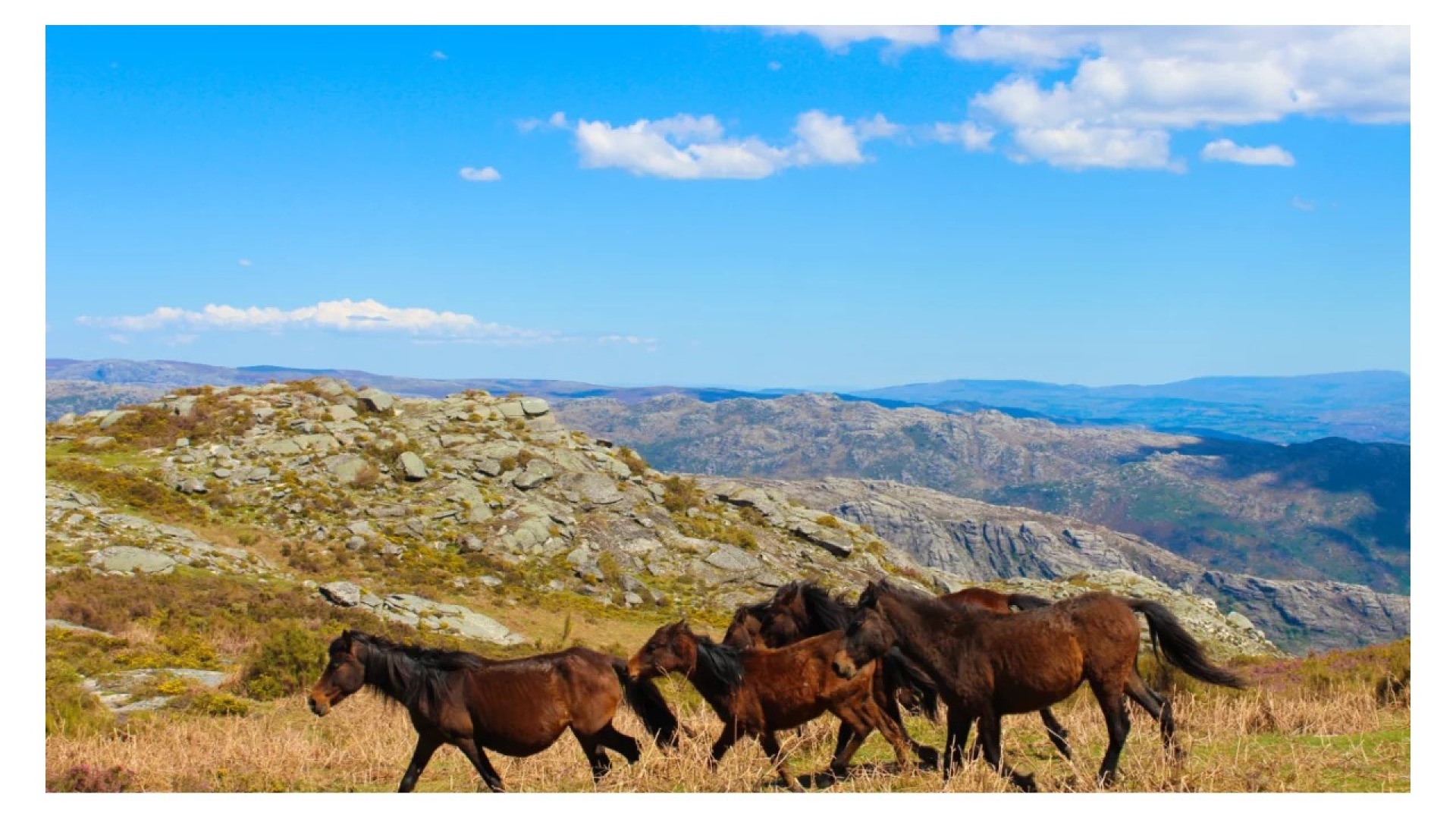 Montanhismo: Alto da Pedrada