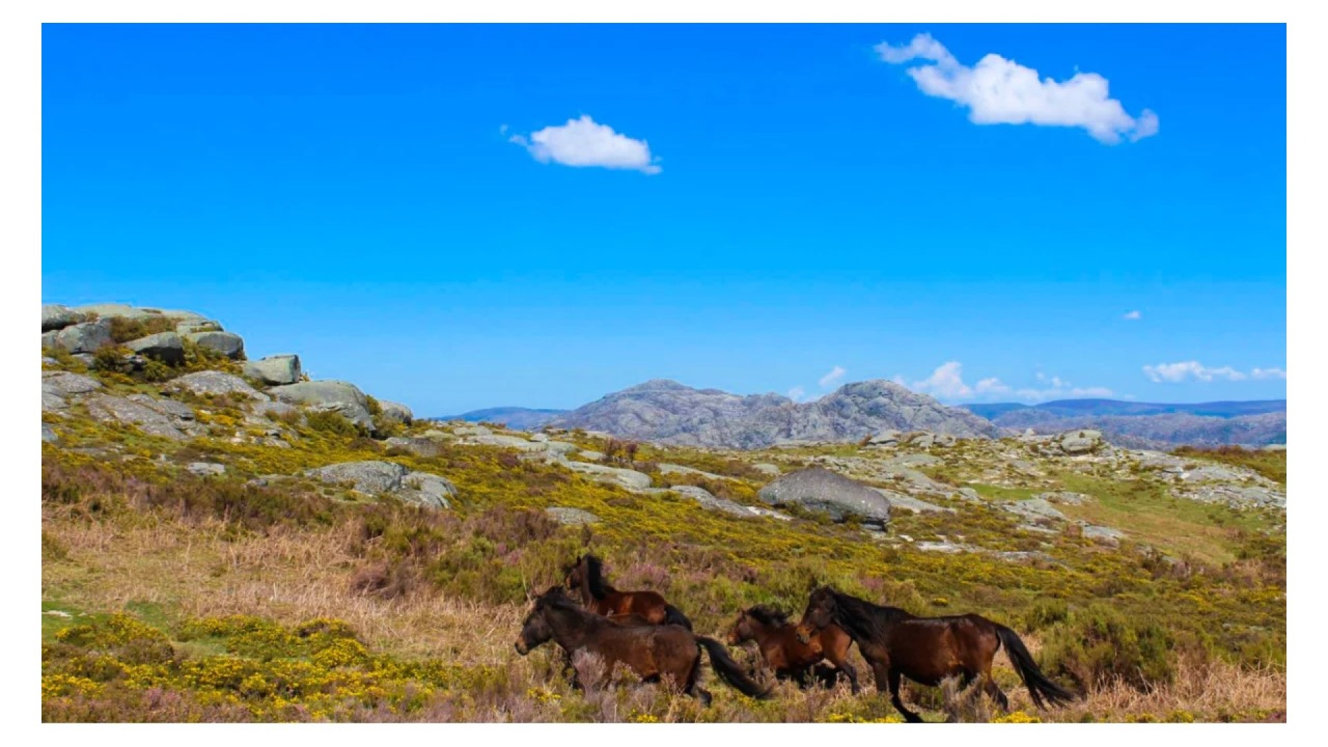 Montanhismo: Pico do Pedrinho