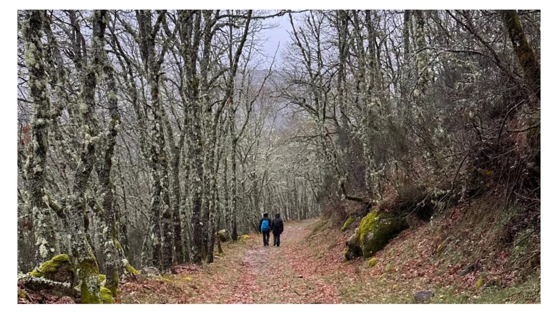 Pitões das Júnias – A pérola do Parque Nacional